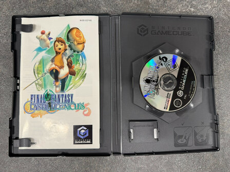 Final Fantasy: Crystal Chronicles (Big Box)